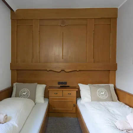 Amadeus Zillertal Tirol Hotel