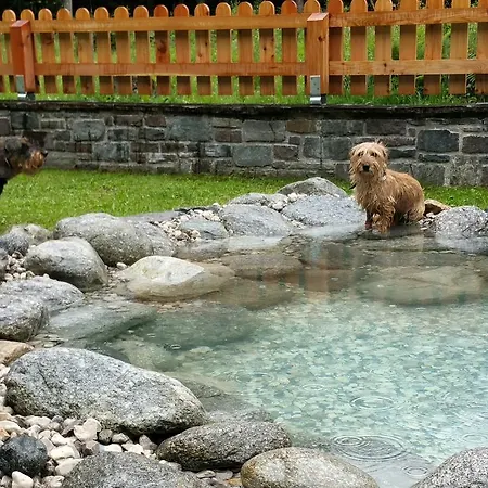 Hotel Amadeus Zillertal Tirol Mayrhofen