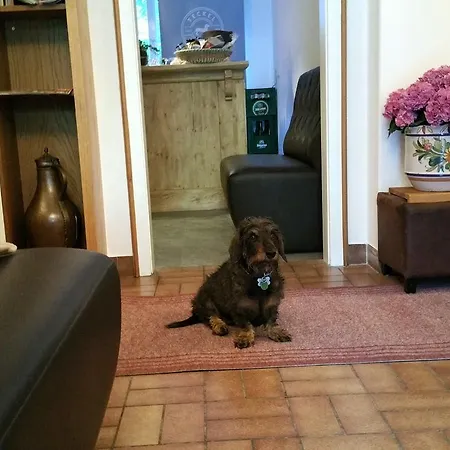 Ξενοδοχείο Amadeus Zillertal Tirol Mayrhofen