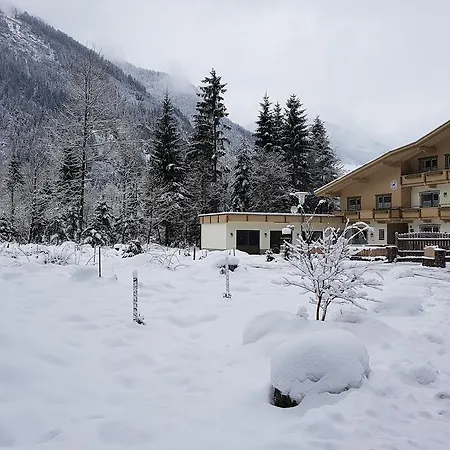 Amadeus Zillertal Tirol *