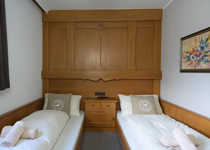 Amadeus Zillertal Tirol Hotel