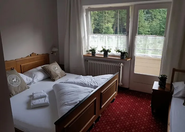 Amadeus Zillertal Tirol Готель