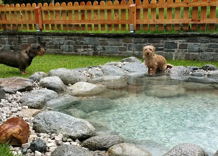 Ξενοδοχείο Amadeus Zillertal Tirol Mayrhofen