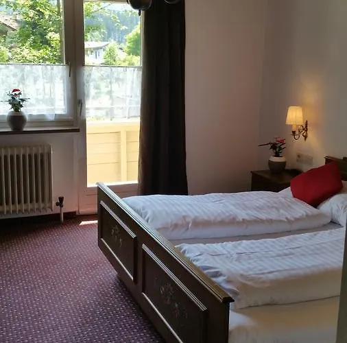 Amadeus Zillertal Tirol *