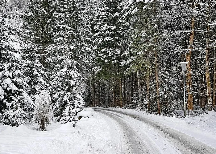 Готель Amadeus Zillertal Tirol
