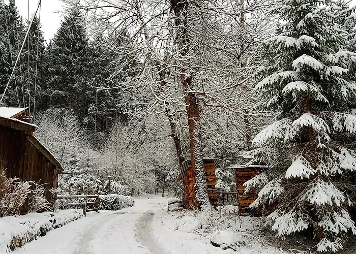 Amadeus Zillertal Tirol مايرهوفن