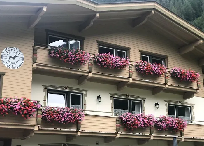 Amadeus Zillertal Tirol *