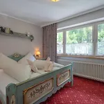 Amadeus Zillertal Tirol 메이른호픈