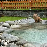 호텔 Amadeus Zillertal Tirol 메이른호픈