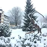 Amadeus Zillertal Tirol