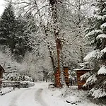 Amadeus Zillertal Tirol 메이른호픈