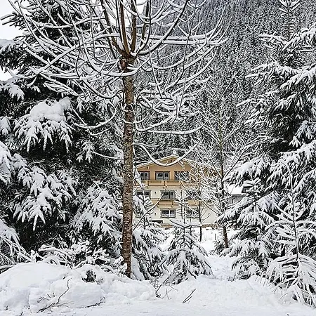 Amadeus Zillertal Tirol * مايرهوفن