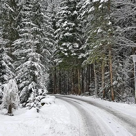 فندق Amadeus Zillertal Tirol