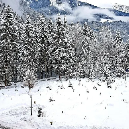 Amadeus Zillertal Tirol فندق مايرهوفن