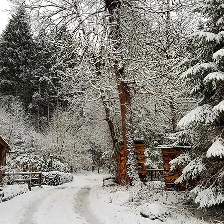Amadeus Zillertal Tirol مايرهوفن
