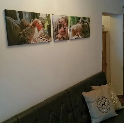 Amadeus Zillertal Tirol