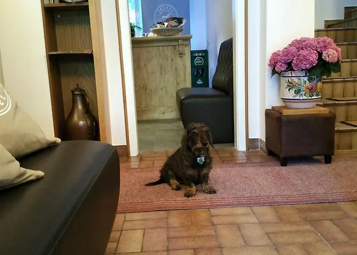 Hotel Amadeus Zillertal Tirol Mayrhofen