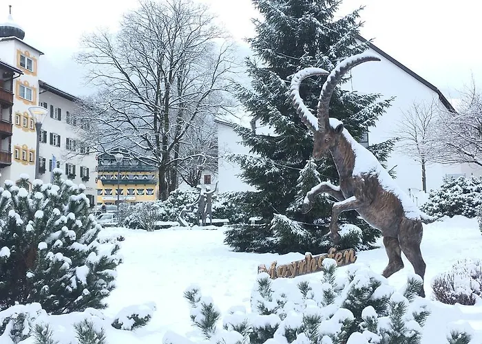 Amadeus Zillertal Tirol