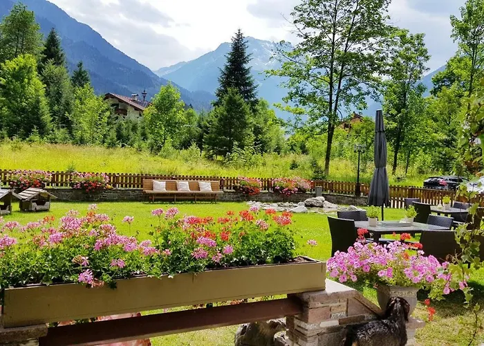 Amadeus Zillertal Tirol Hotel Mayrhofen